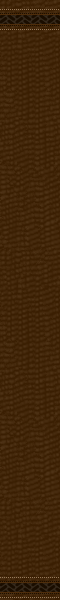 dsgn_1160_repeat_right.gif